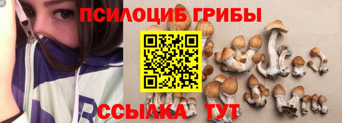 Псилоцибиновые грибы Magic Shrooms  Вход с VPN  Псилоцибиновые грибы ЛСД  Сланцы 