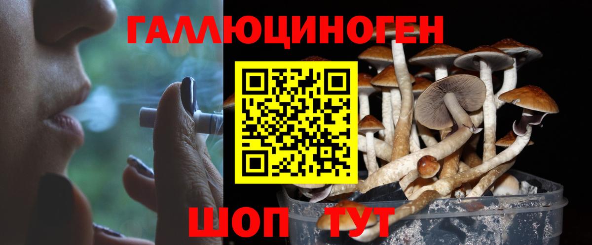 Псилоцибиновые грибы Magic Shrooms Сланцы